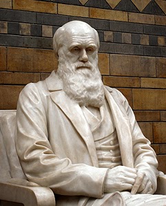 Darwin Among the Transhumanists